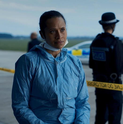 Suspicion (2022)