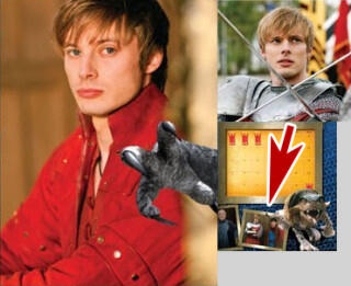 Merlin 2010 Calendar PROMO